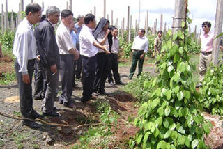 Người cựu chiến binh 'mê' từ thiện
