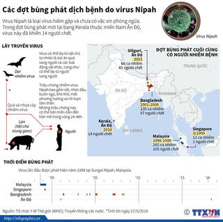 [Infographics] Các đợt bùng phát dịch bệnh do virus Nipah