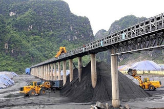 Phê duyệt Danh mục doanh nghiệp có vốn nhà nước thực hiện thoái vốn
