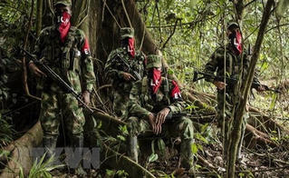 Colombia: ELN trả tự do cho 6 con tin bị bắt cóc từ tháng Tám