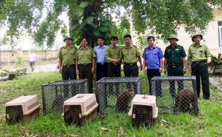 Vườn quốc gia Vũ Quang: Gìn giữ sự đa dạng sinh học