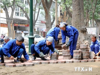 Hà Nội tạm dừng việc thi công đào hè, đường