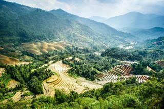 Ruộng bậc thang Hoàng Su Phì