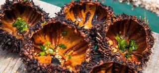 Ngọt bùi món nhum nướng mỡ hành đặc sản xứ biển miền Trung
