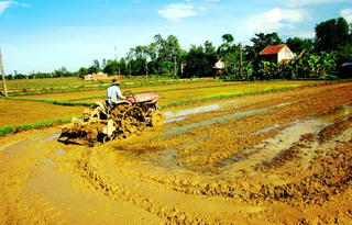 Nợ xấu giảm hơn 218 tỷ đồng so với đầu năm