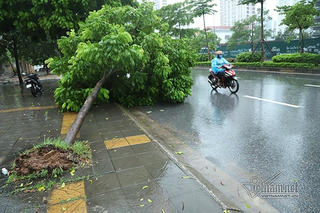 Hà Nội mưa lớn, đề phòng lốc sét và gió giật mạnh