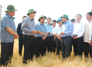 Phó Thủ tướng Nguyễn Xuân Phúc: Không để dân đói, khát