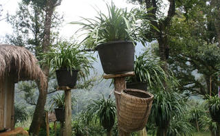 Ấn tượng Sin Súi Hồ