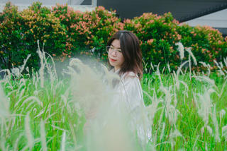 'Chết mê' với đồng cỏ lau nở trắng tại Hà Nội