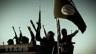 Ai Cập và Jordan ủng hộ Iraq xóa sổ hoàn toàn tổ chức khủng bố IS