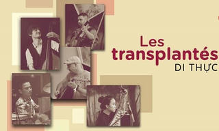 Đêm nhạc đa sắc của nhóm 'Di thực'