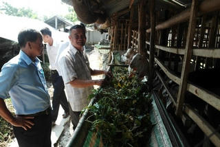 Vĩnh Long: Vận động hơn 4,3 tỷ đồng hỗ trợ hội viên khó khăn