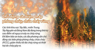 [Infographics] Chủ động các biện pháp phòng cháy, chữa cháy rừng