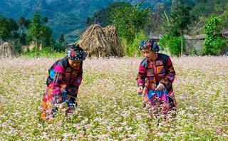 Trải nghiệm không gian văn hóa dân tộc Mông