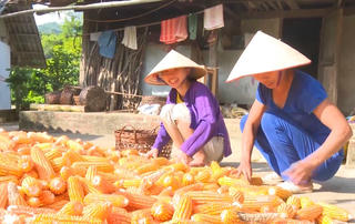 Giúp người nghèo an cư lạc nghiệp