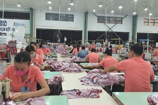 Đào tạo nghề miễn phí cho lao động bị mất việc bởi dịch Covid-19