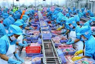Lo xuất khẩu thuỷ sản tuột dốc