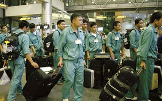 Lao động từ Hàn Quốc trở về được săn đón