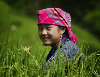 Vẻ đẹp Tú Lệ