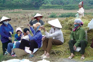Nam Định: ‘Phụ nữ nông thôn di cư ra đô thị tìm việc làm không giảm’