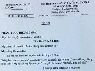 Vụ đề thi Ngữ Văn có nội dung nhạy cảm: Sở GD&ĐT Gia Lai nói gì?