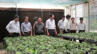 Tối ưu hóa đất cho nông nghiệp