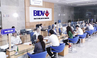BIDV hỗ trợ 23 tỷ đồng chống hạn mặn