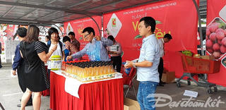 Central Group và Big C Việt Nam quảng bá thương hiệu vải Lục Ngạn, Bắc Giang