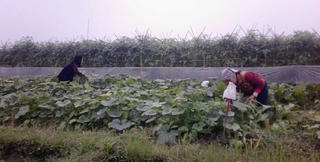 Đổi mới ở thôn Đông