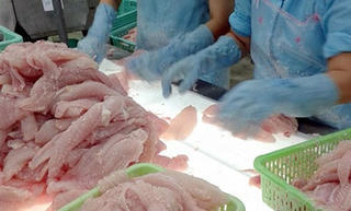 Xuất khẩu cá tra giảm