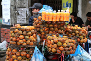 [ẢNH] Năng động trong 'mùa' Covid-19