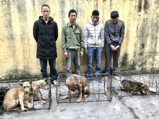 Hà Tĩnh: Bắt nhóm 'cẩu tặc' liên tỉnh
