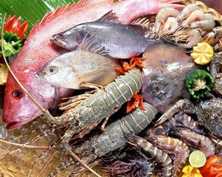 Tránh ngộ độc hải sản