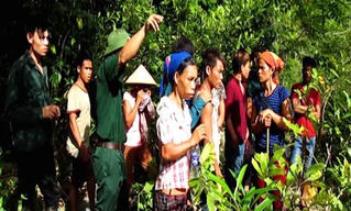 Đã bắt được nghi can vụ thảm sát 4 người tại Nghệ An