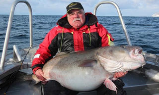 Ngư dân 71 tuổi câu được cá tuyết 'khủng' 42 kg