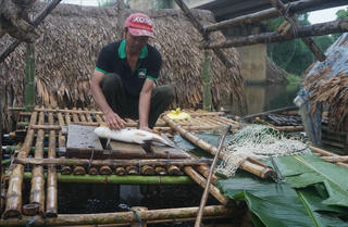 ‘Sát thủ’ giấu mặt