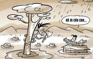 Giải trí (5/11)