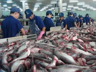 Thị trường thủy sản dồi dào
