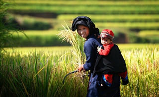 Hoàng Su Phì qua “mắt ảnh”