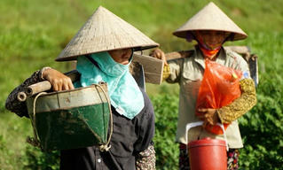 Khoan thư sức dân