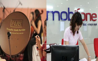 Vụ Mobifone mua 95% cổ phần AVG: Thanh tra Chính phủ đề nghị giao CQĐT xem xét, khởi tố