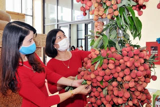 Thúc đẩy tiêu thụ nông sản trên nền tảng số