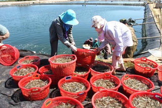 Thủy sản, 'se duyên' để phát triển