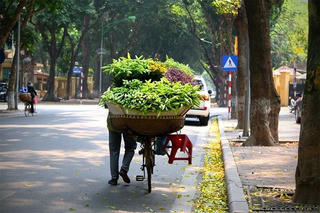 Hà Nội hửng nắng, Nam Bộ có mưa rào và dông rải rác