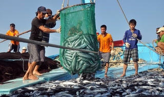 Ninh Bình: Đào tạo nghiệp vụ thuyền trưởng, thuyền viên cho ngư dân