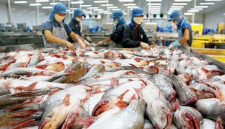 Đa dạng hóa thị trường xuất khẩu cá tra