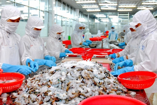 Tổng kết Dự án xây dựng trang trại nuôi cá tra