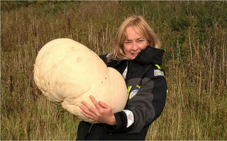 Nấm khổng lồ nặng 10 kg