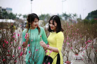 Người dân Thanh Hoá đón xuân trong an lành, tiết kiệm
