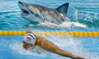 [VIDEO] Cá mập trắng đánh bại kình ngư Michael Phelps